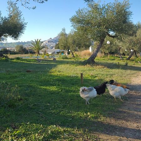 Bungalow -Escapadas En Arcos De La Frontera Eksteriør billede