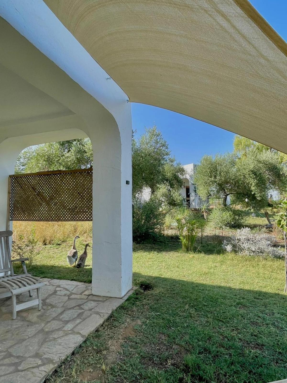 Bungalow -Escapadas En Arcos De La Frontera Eksteriør billede