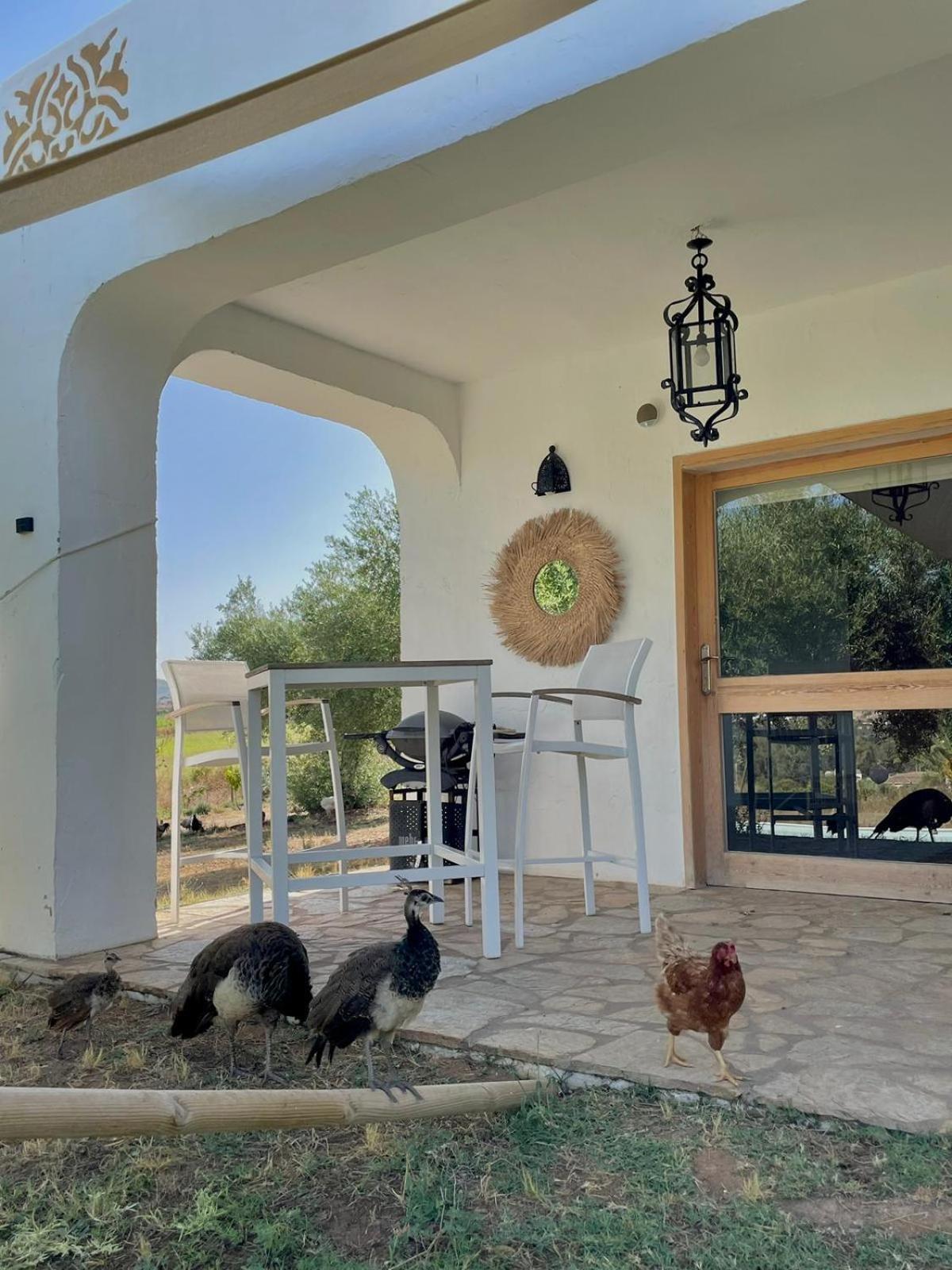Bungalow -Escapadas En Arcos De La Frontera Eksteriør billede