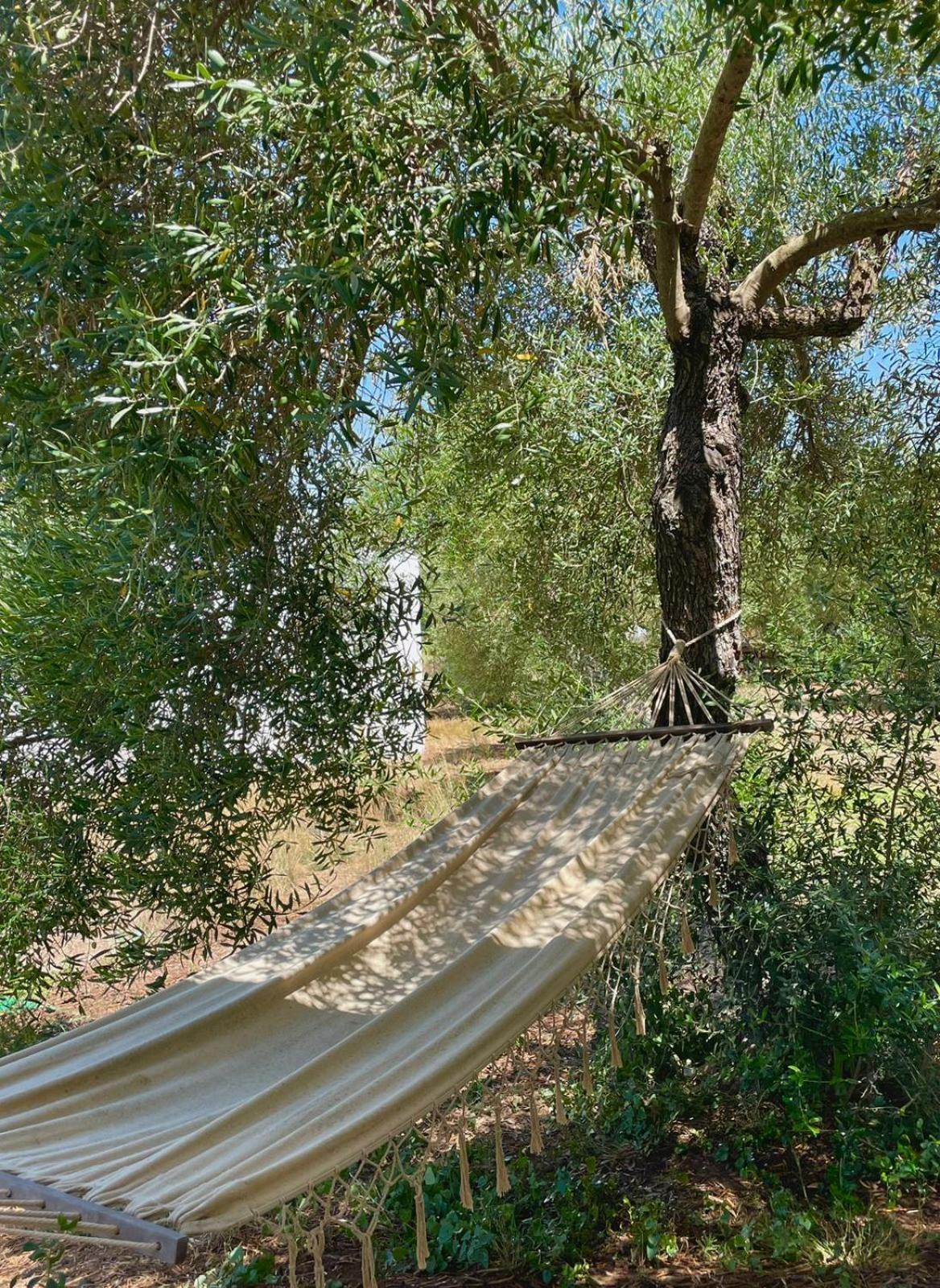 Bungalow -Escapadas En Arcos De La Frontera Eksteriør billede